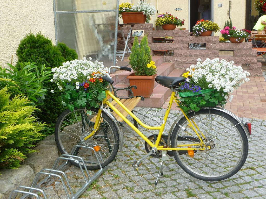 Gasthaus Forelle Thale Exterior photo